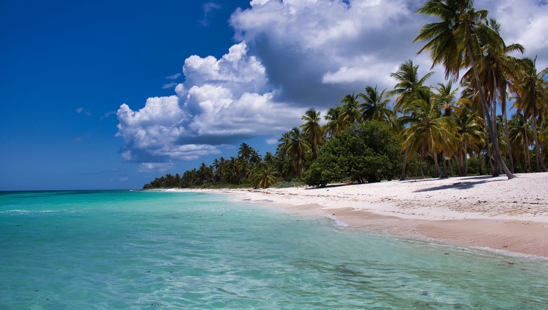 Caribbean scenery